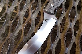 Evo model in DuraTech 20CV Evo model in DuraTech 20CV